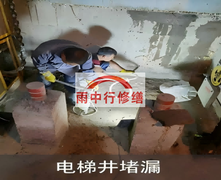 忠县星雨华府电梯井堵漏案例